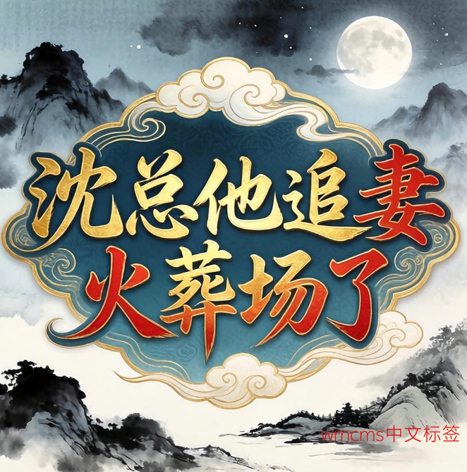 沈总他追妻火葬场了
