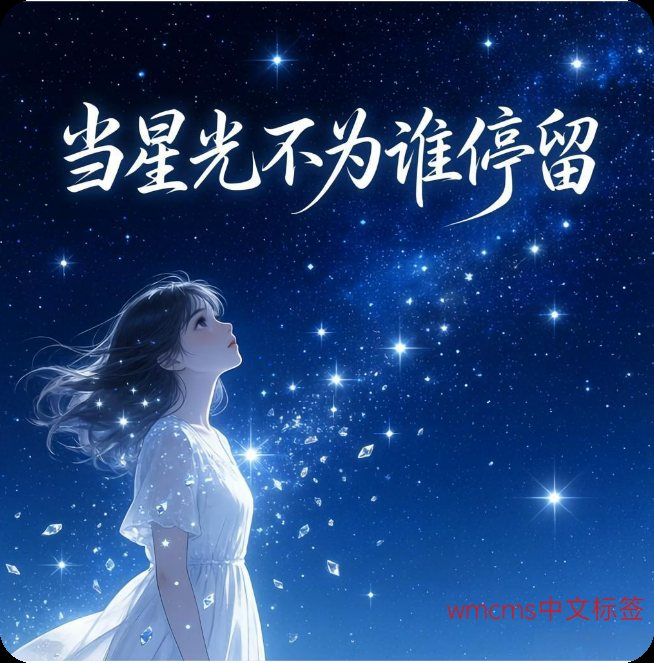 当星光不为谁停留